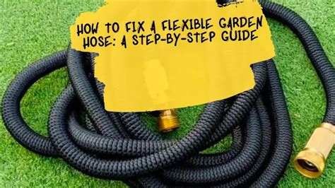 How to Fix Expandable Garden Hose: The Comprehensive Guide。